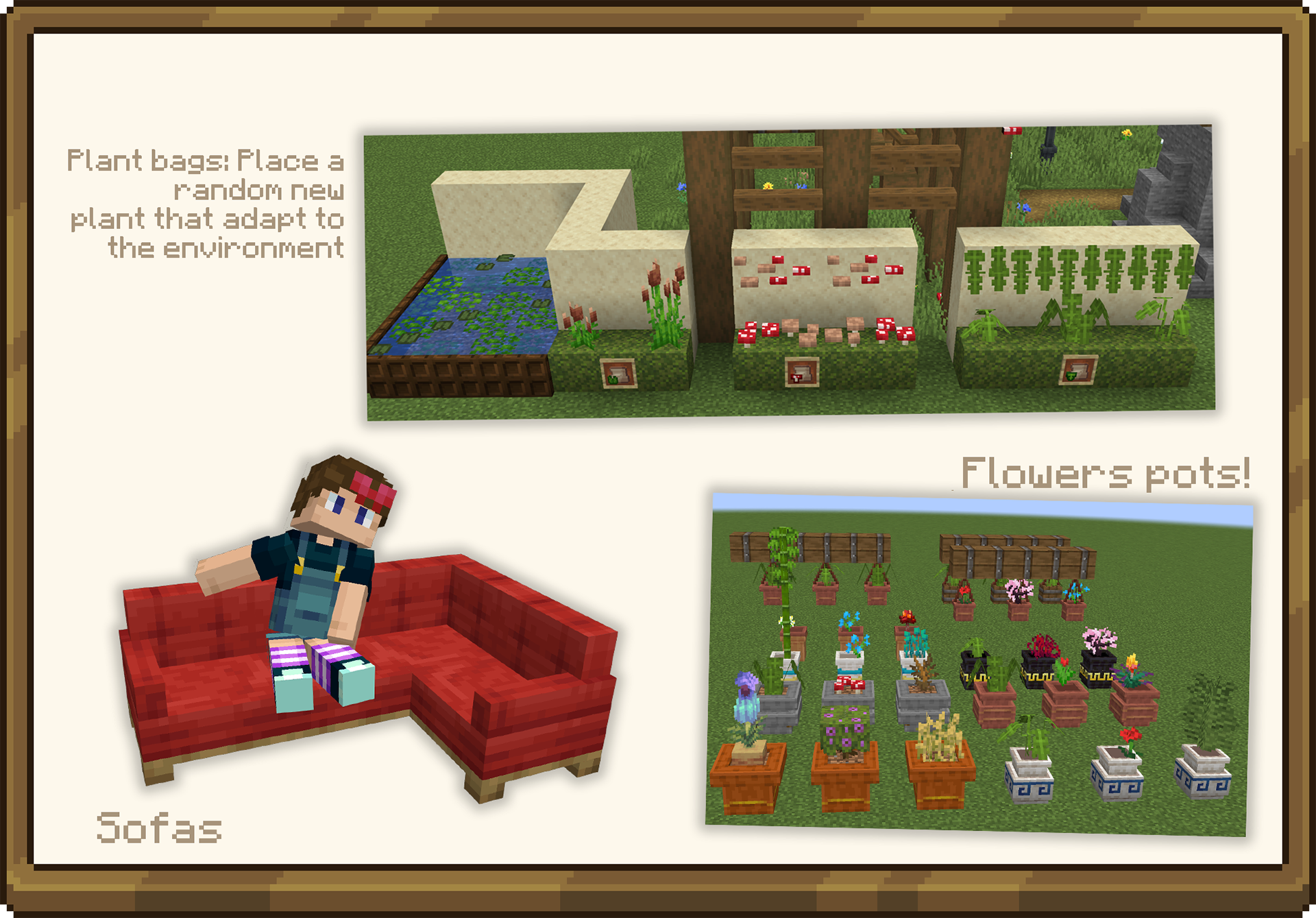 plant and sofa